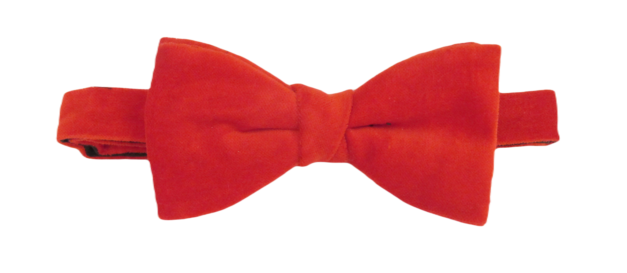 IMG_9677_1024x1024@2x