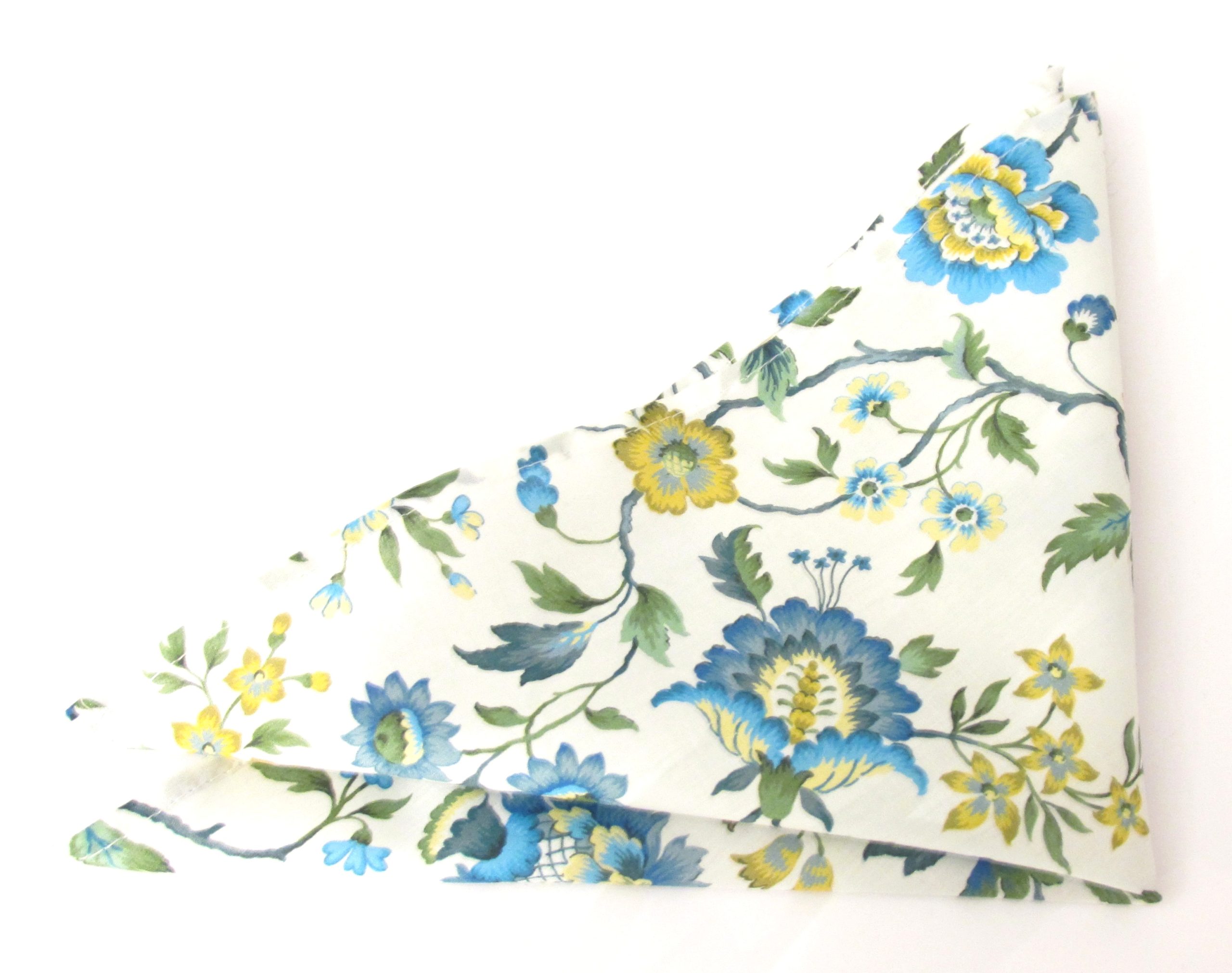 IMG_0322_90afdd1d-2eb0-4a02-b33d-41cbd6e05f02